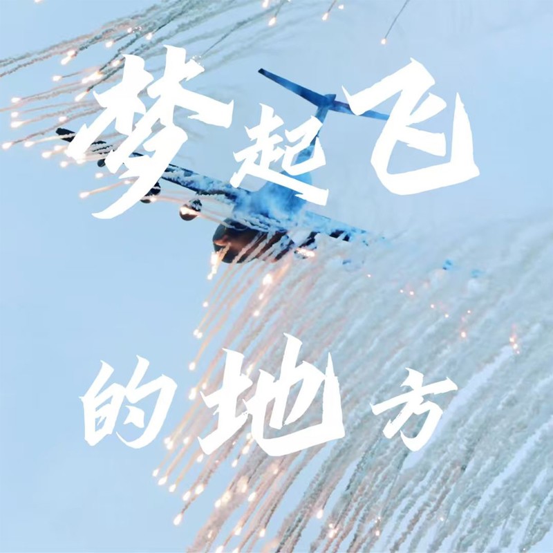 梦起飞的地方封面