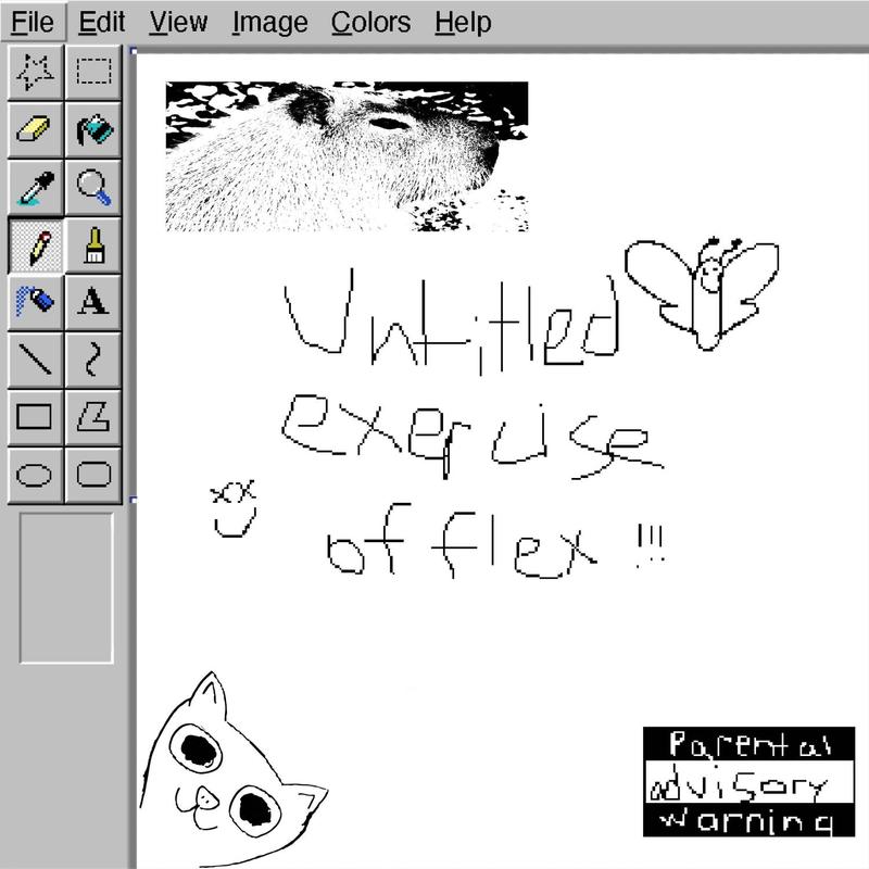 Untitledexerciseofflex封面