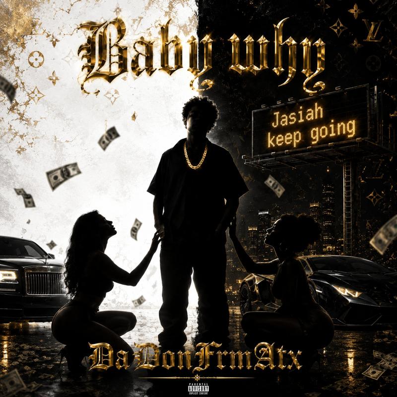 BabyWhy封面