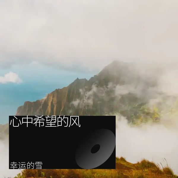 云中飞翔封面