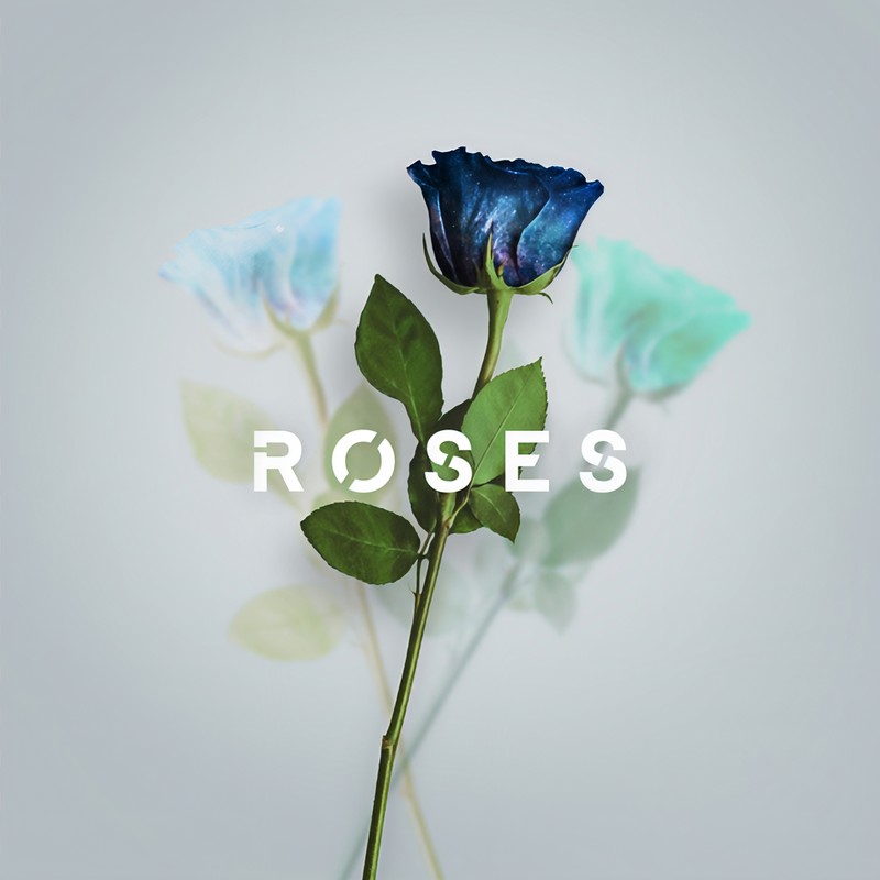 Roses封面