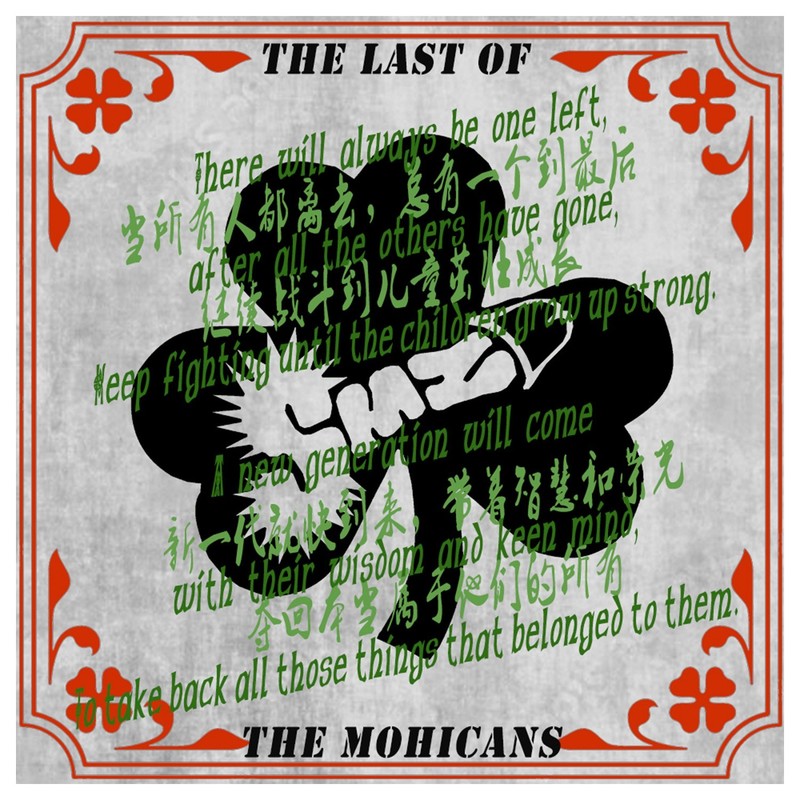TheLastoftheMohicans封面