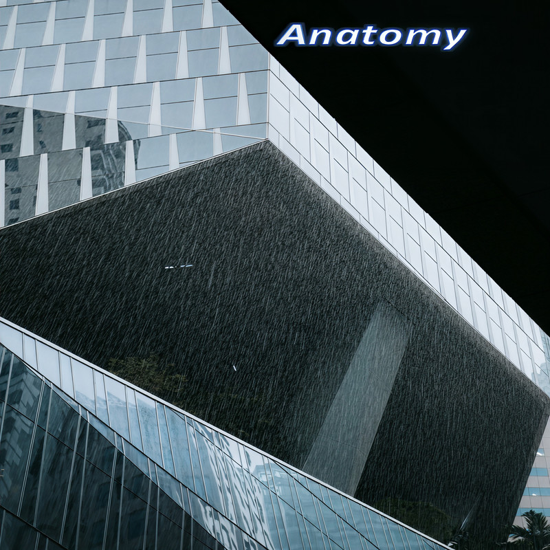Anatomy(SlowVersion)封面
