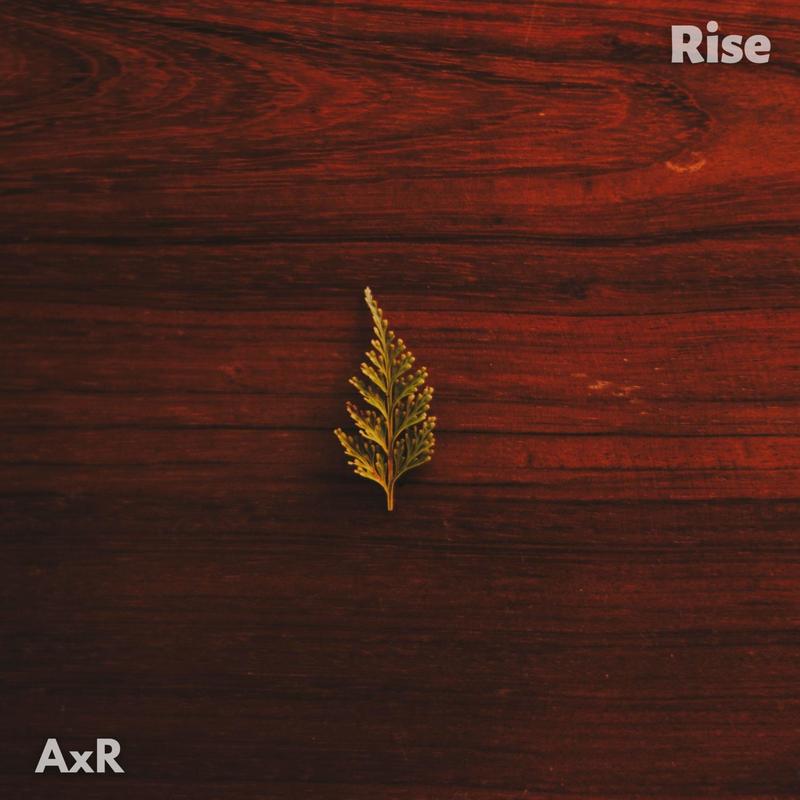 Rise封面