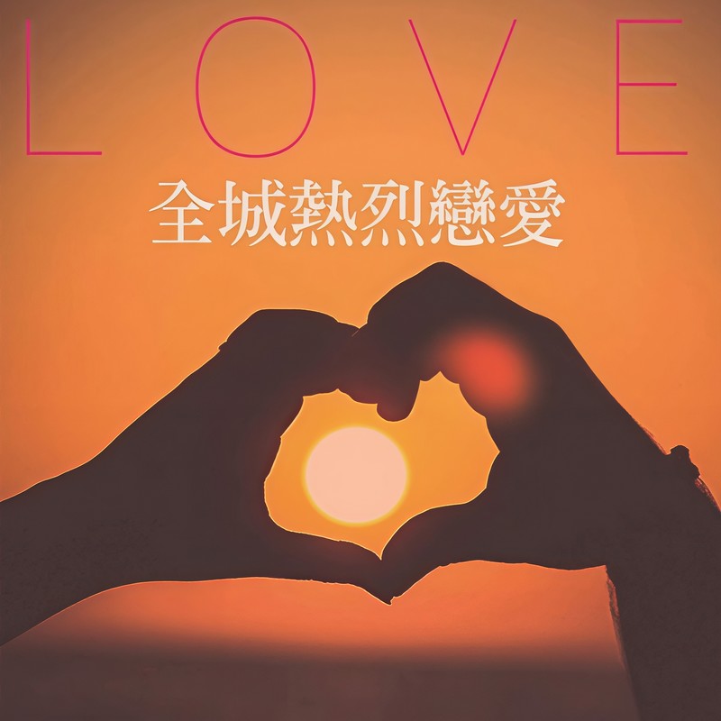 傻瓜封面