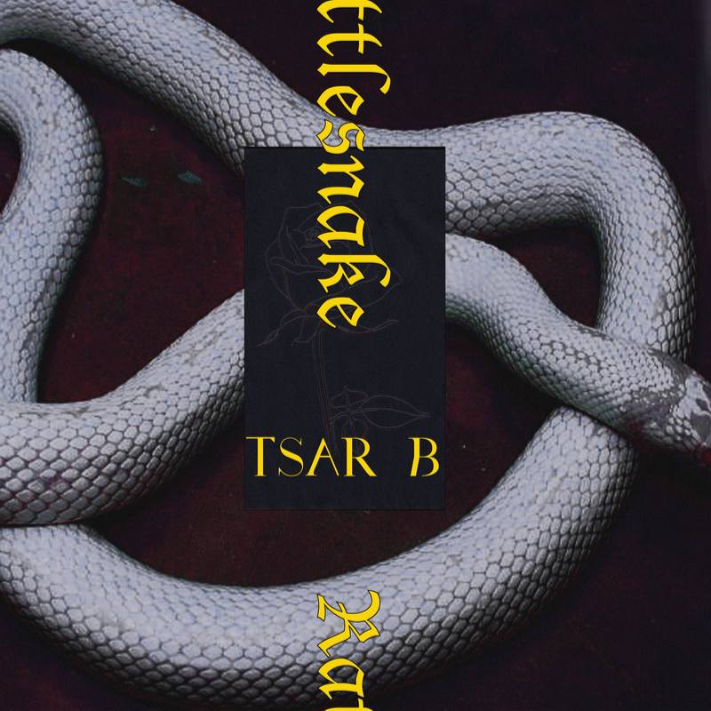 Rattlesnake封面