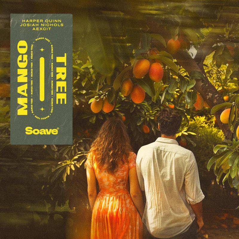 MangoTree封面