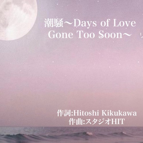 潮騒～DaysofLoveGoneTooSoon～封面