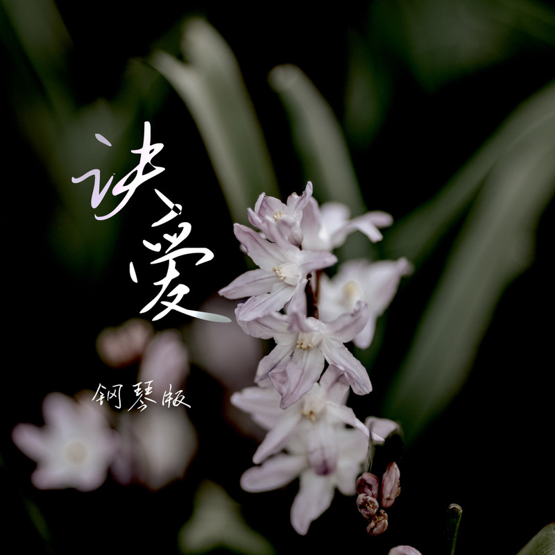 诀爱封面