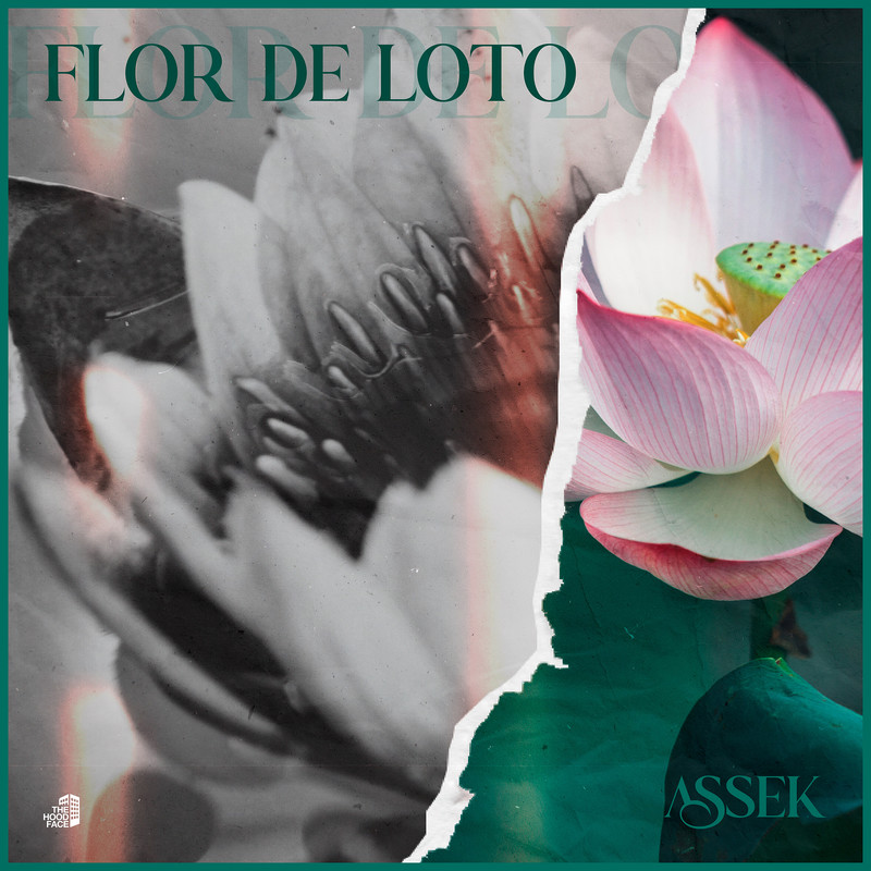 FlorDeLoto封面