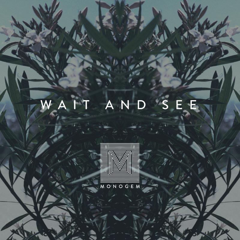 WaitandSee封面