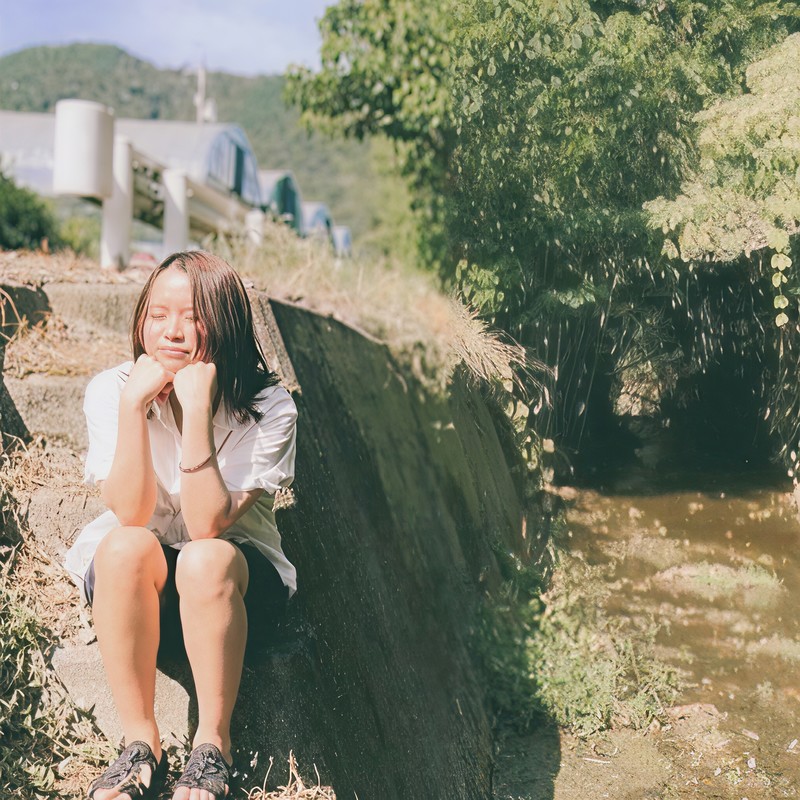 夏霧封面