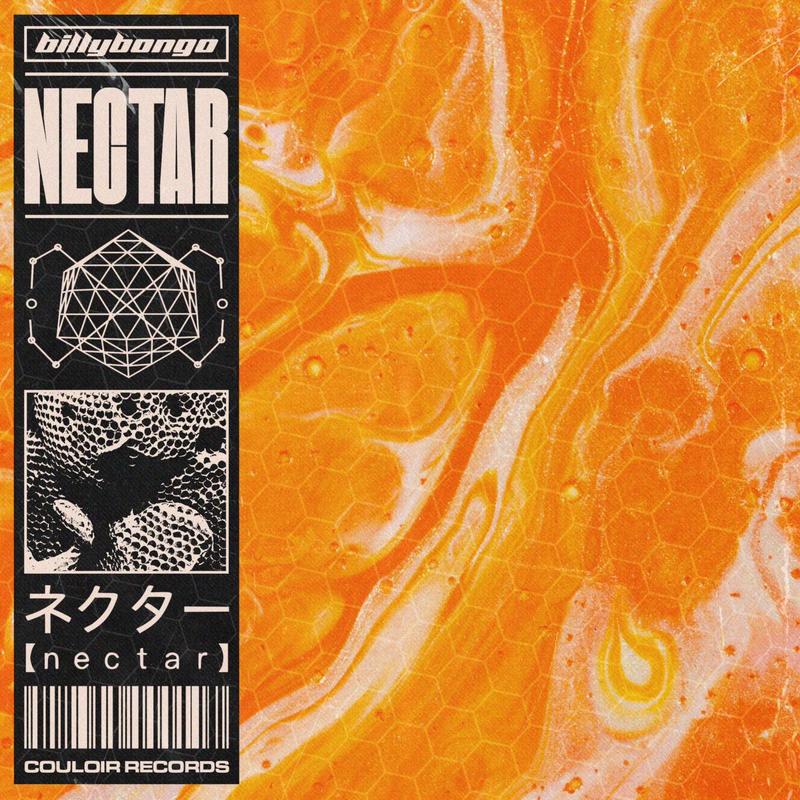 NECTAR封面