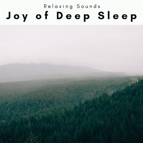 MagicForestMusicforAdvancedSleeppt.2封面