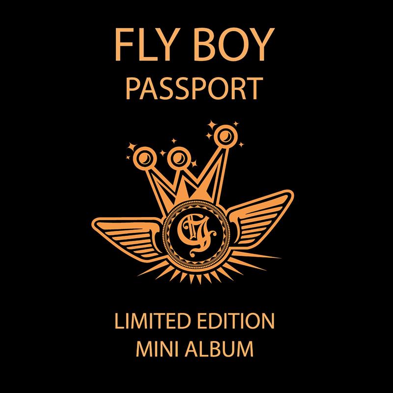 FlyBoy封面