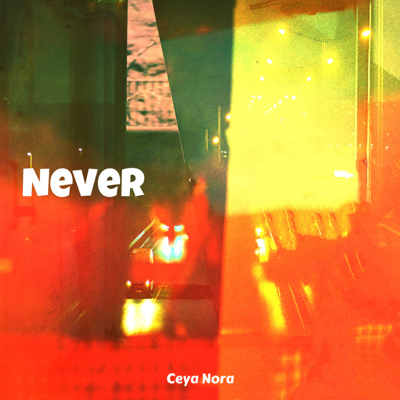 Never封面