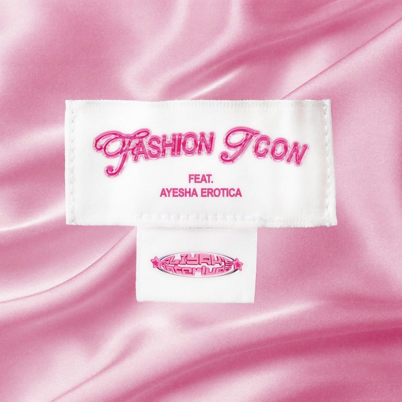 FashionIcon封面