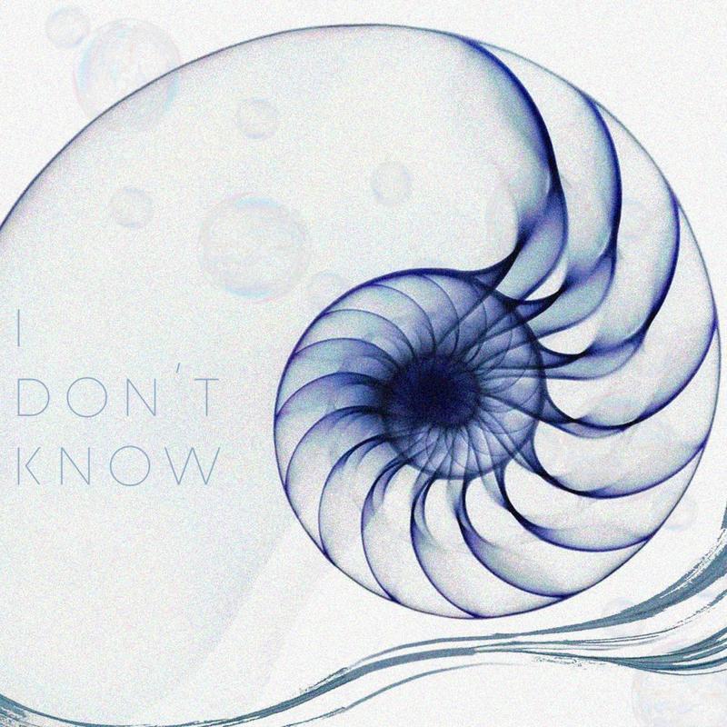 idon'tknow封面