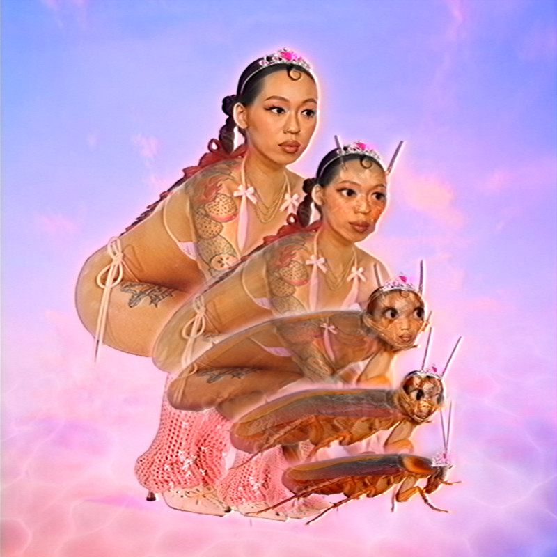BELLY封面