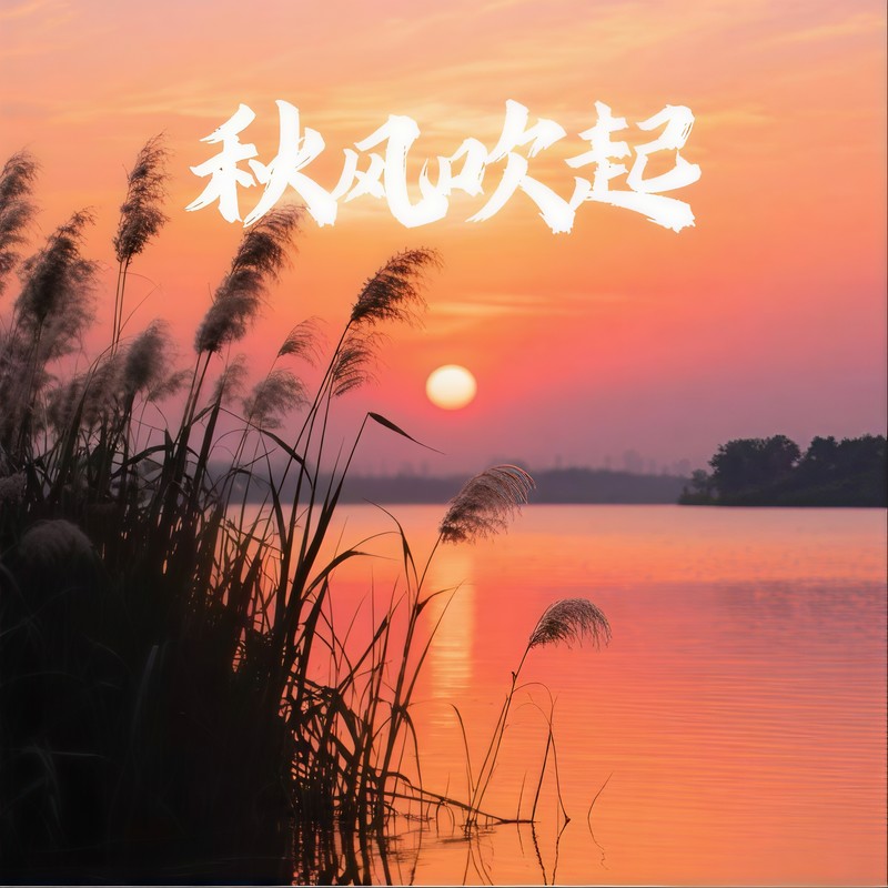 DATAFUNK(6v摇)封面