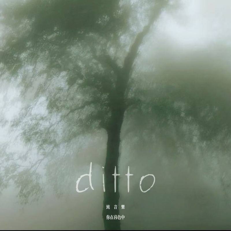 ditto封面