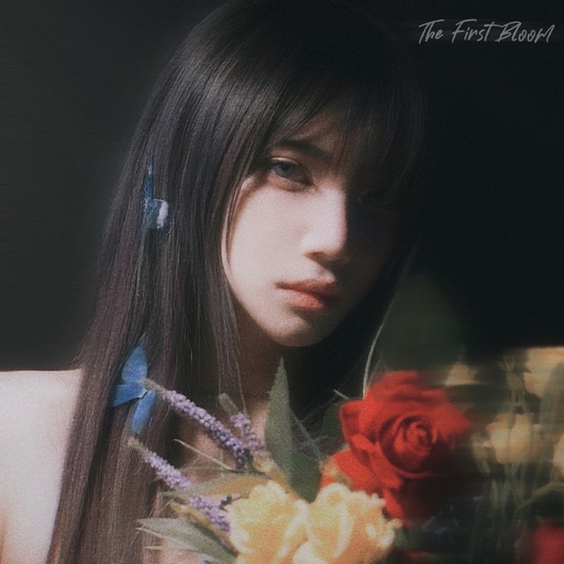 Bloom封面