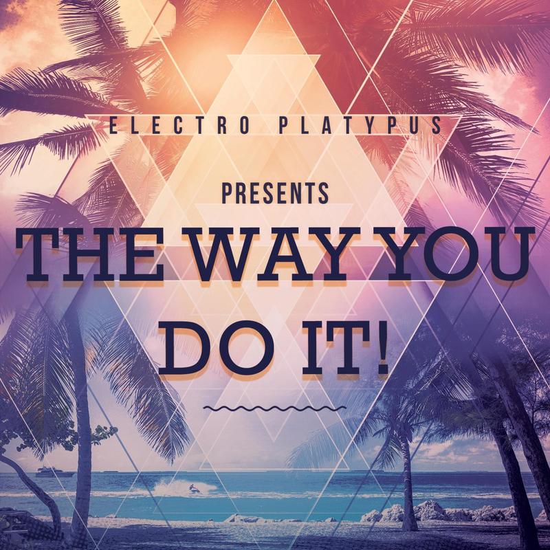 TheWayYouDoIt封面