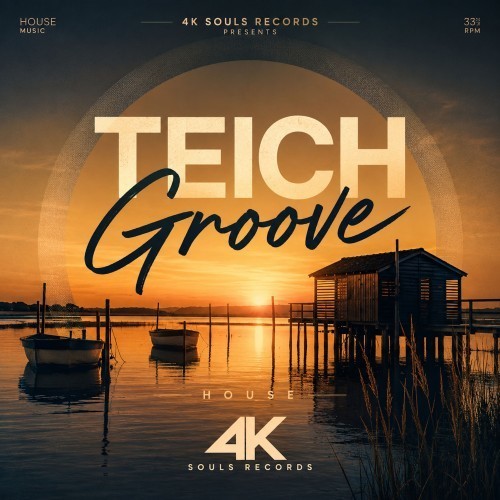 TeichGroov封面