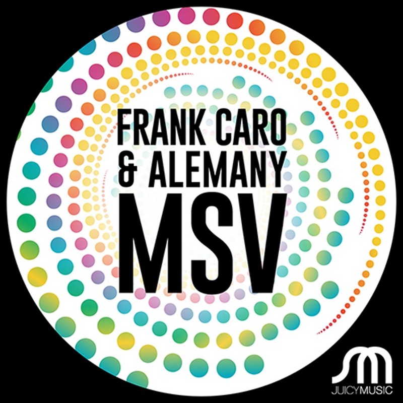 MSV封面