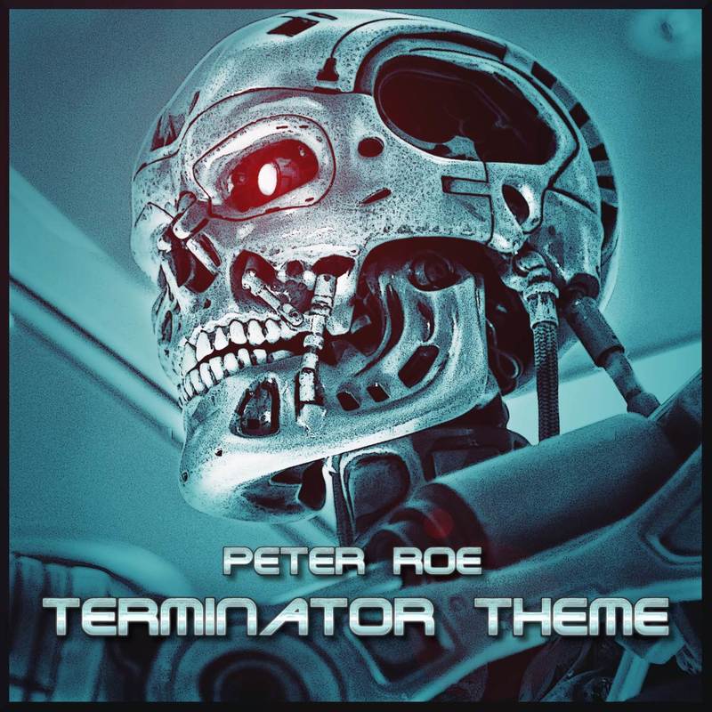 TerminatorTheme封面