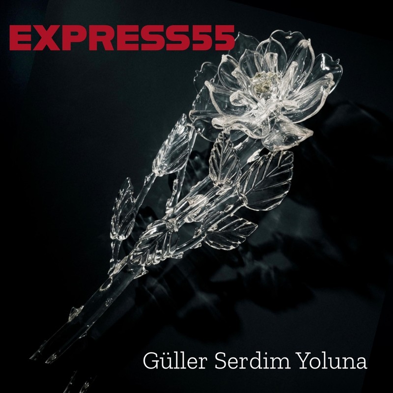 GüllerSerdimYoluna封面