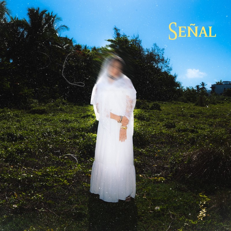 Señal封面