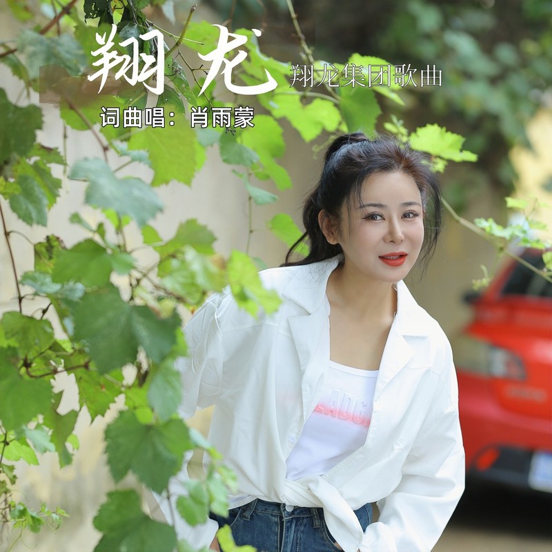 翔龙封面