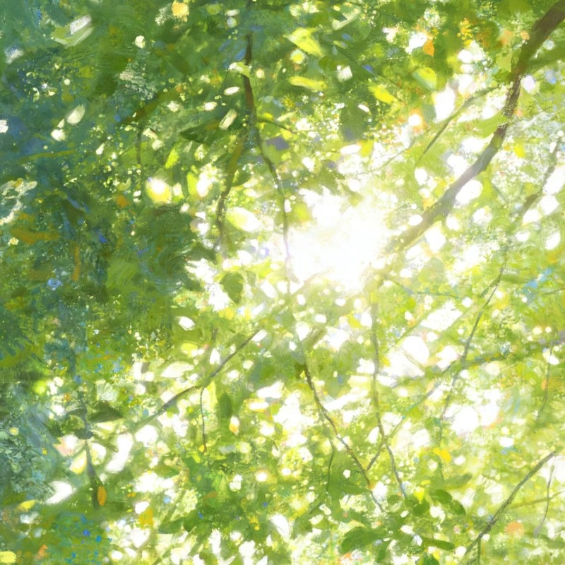 夏梦封面