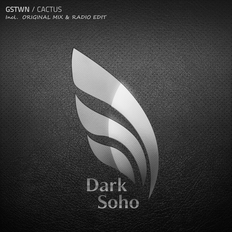 Cactus(RadioEdit)封面
