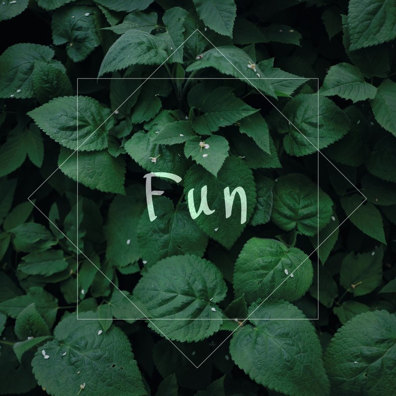 Fun封面
