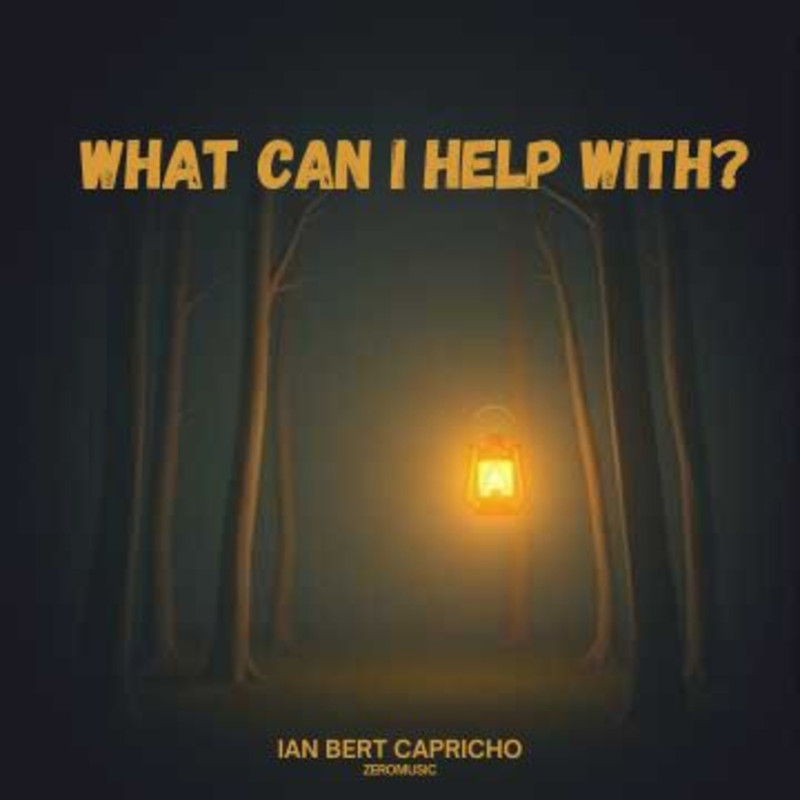 WhatCanIHelpWith封面