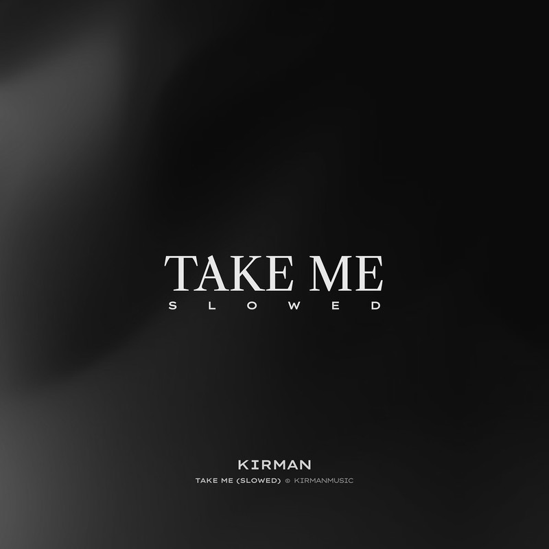 TakeMe(Slowed)封面