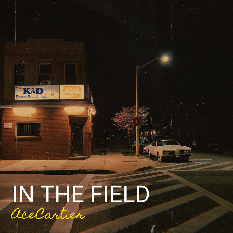 IntheField封面