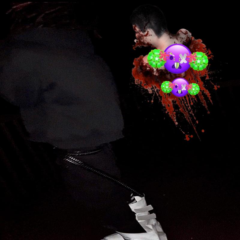 phollow封面