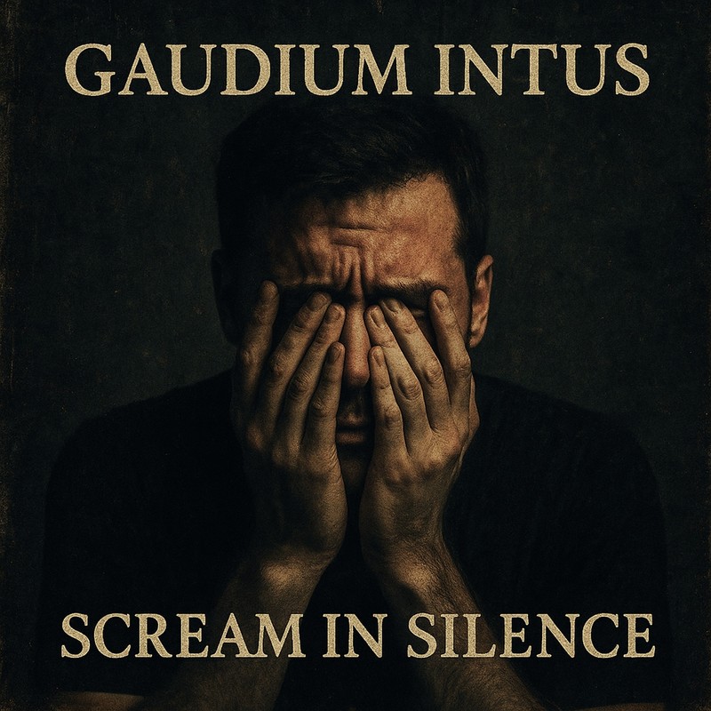 ScreaminSilence封面