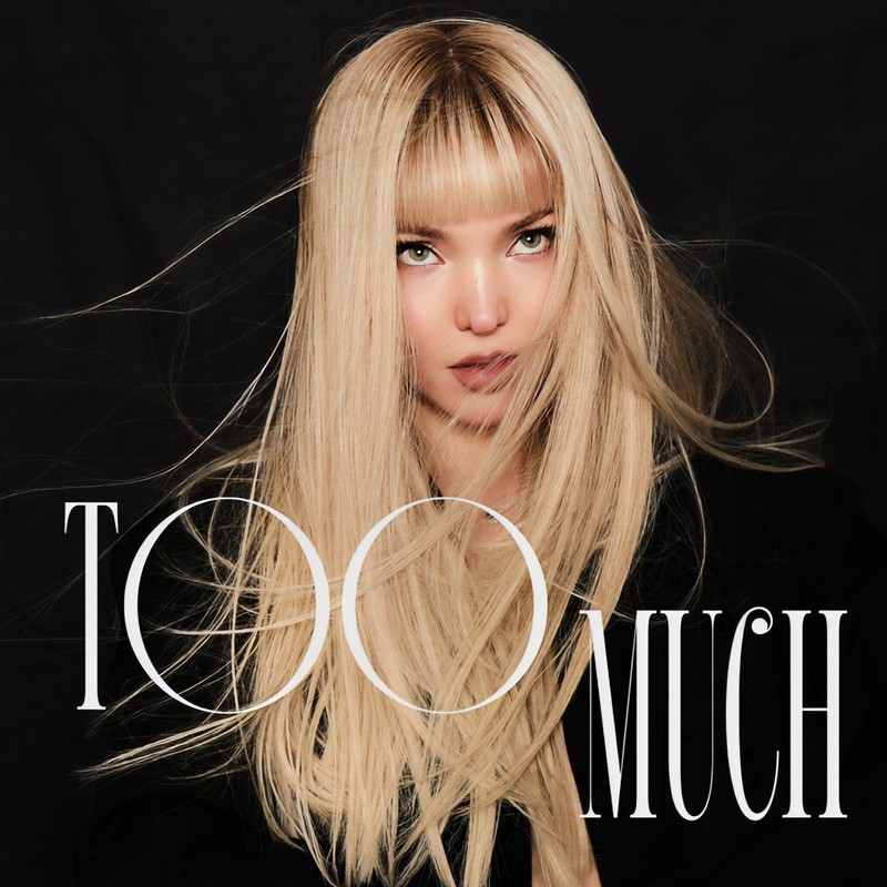 TooMuch封面
