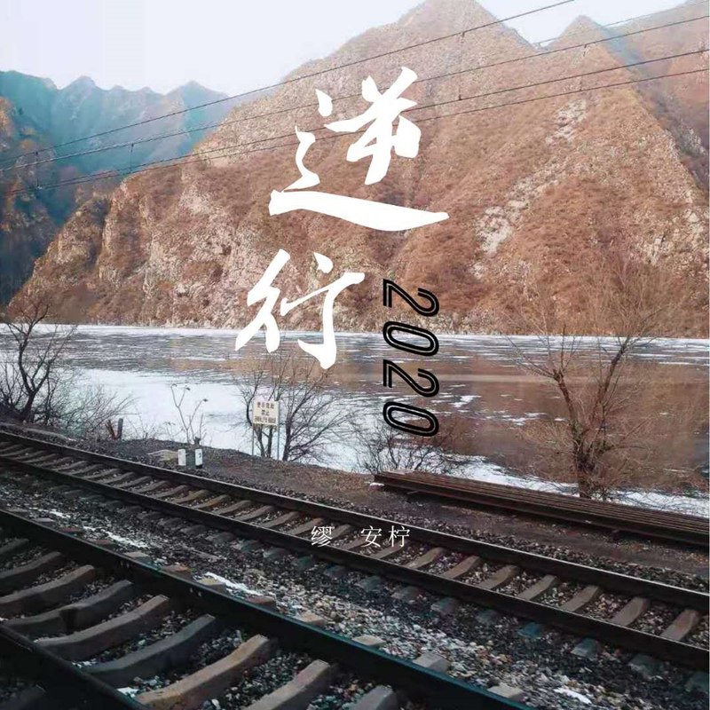 逆行2020封面