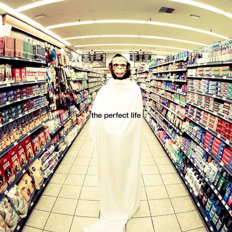 ThePerfectLife封面
