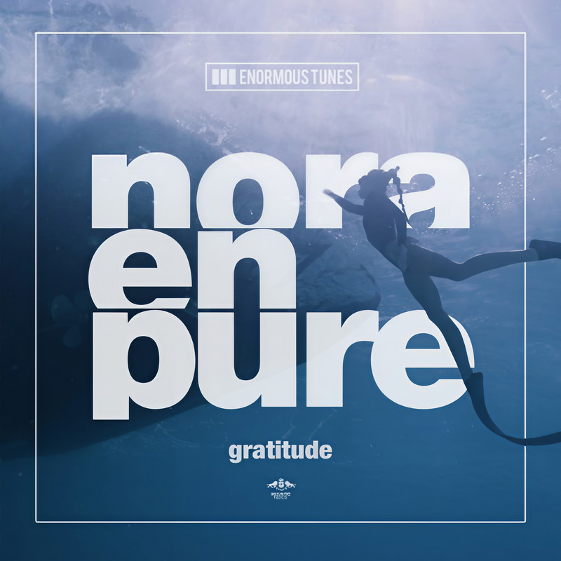 Gratitude封面