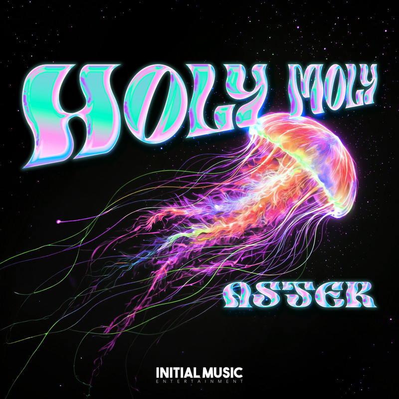 HolyMoly封面