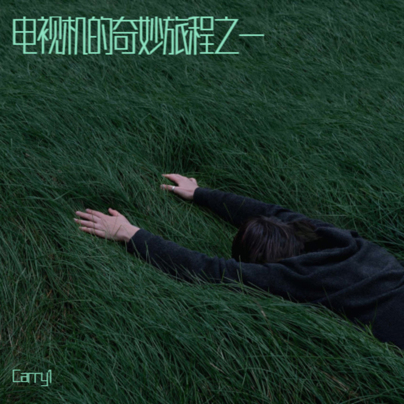 羌绣的花纹封面