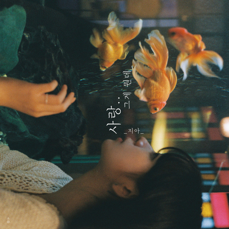 사랑..그게뭔데(Love..Whatisit)封面