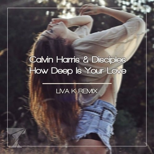 HowDeepIsYourLove(LivaKRemix)封面