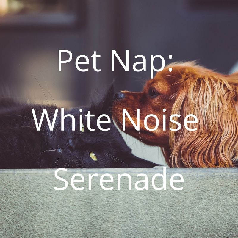 MeowMagic:WhiteNoise(LoopableMelody)封面